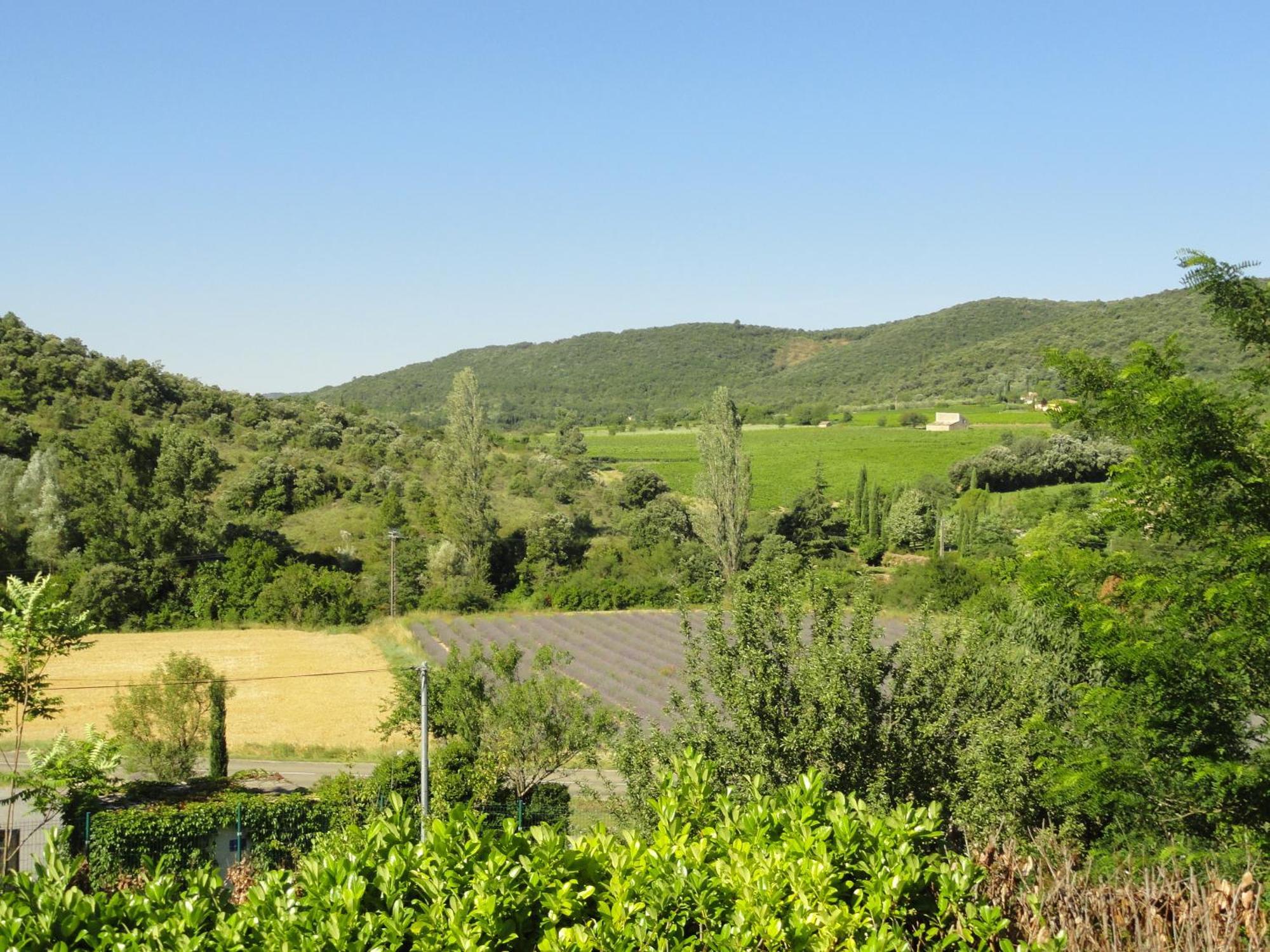 Les Lauriers Roses Vallon Pont D'Arc Lagorce  Εξωτερικό φωτογραφία